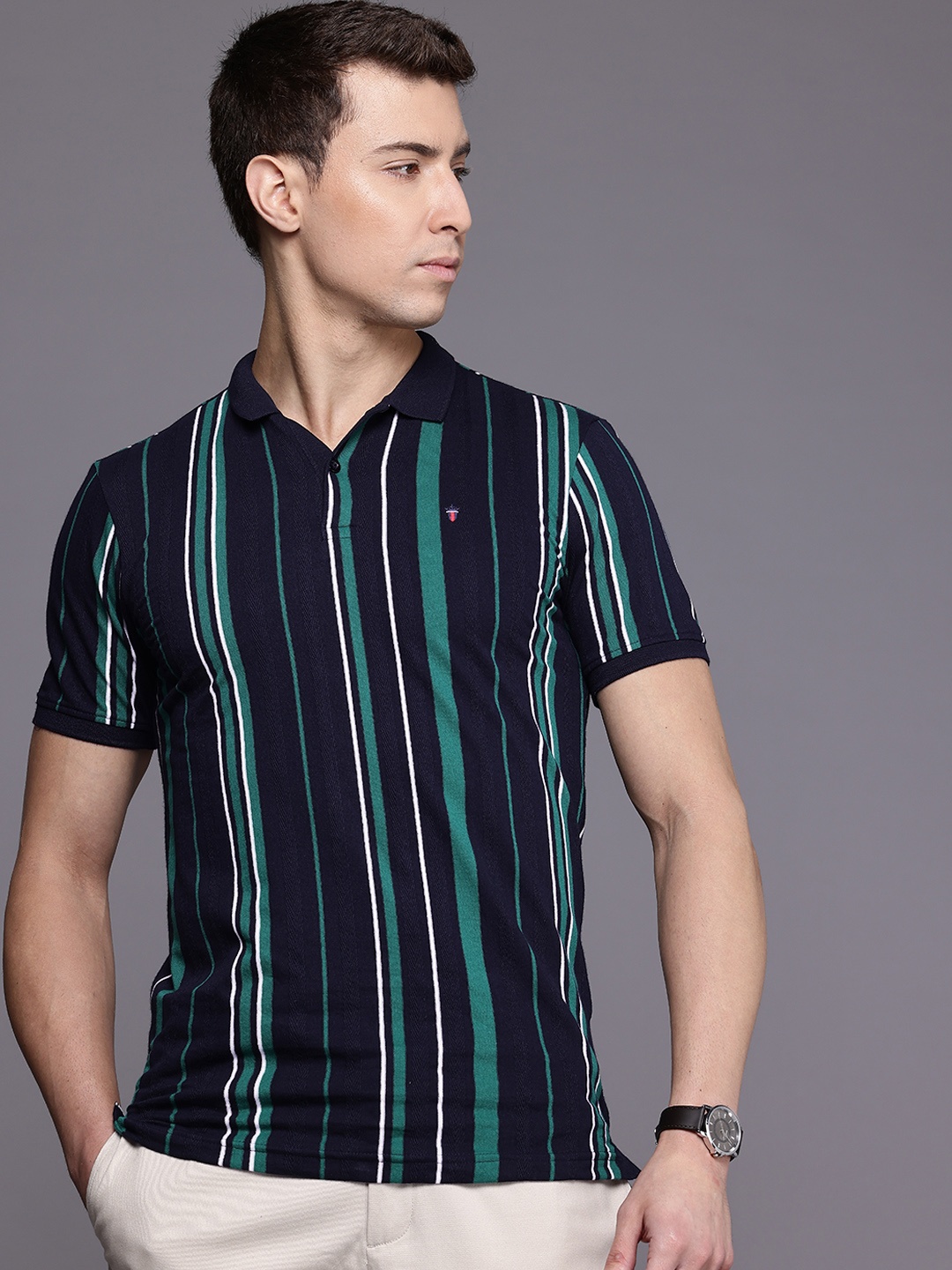 

Louis Philippe Sport Slim Fit Polo Collar Striped Pure Cotton T-shirt, Green
