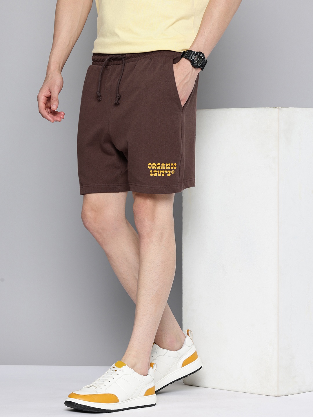 

Levis Men Pure Cotton Typography Printed Regular Shorts, Brown