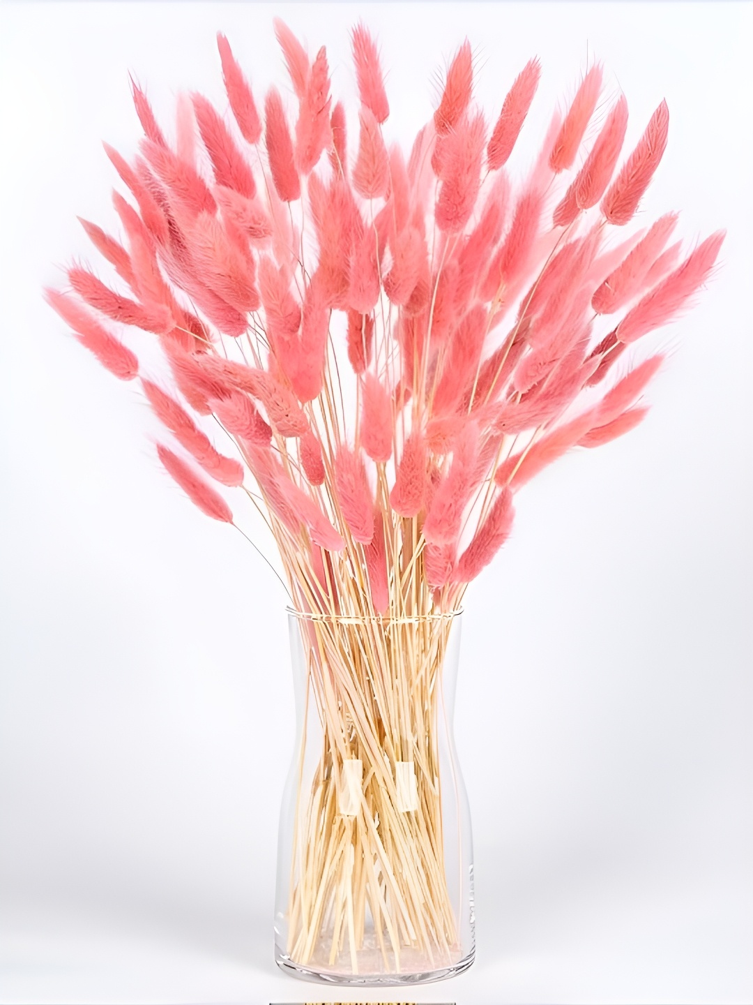 

TIED RIBBONS Pink 50 Pieces Pampas Lagurus Ovatus Tail Dried Stem Artificial Flower