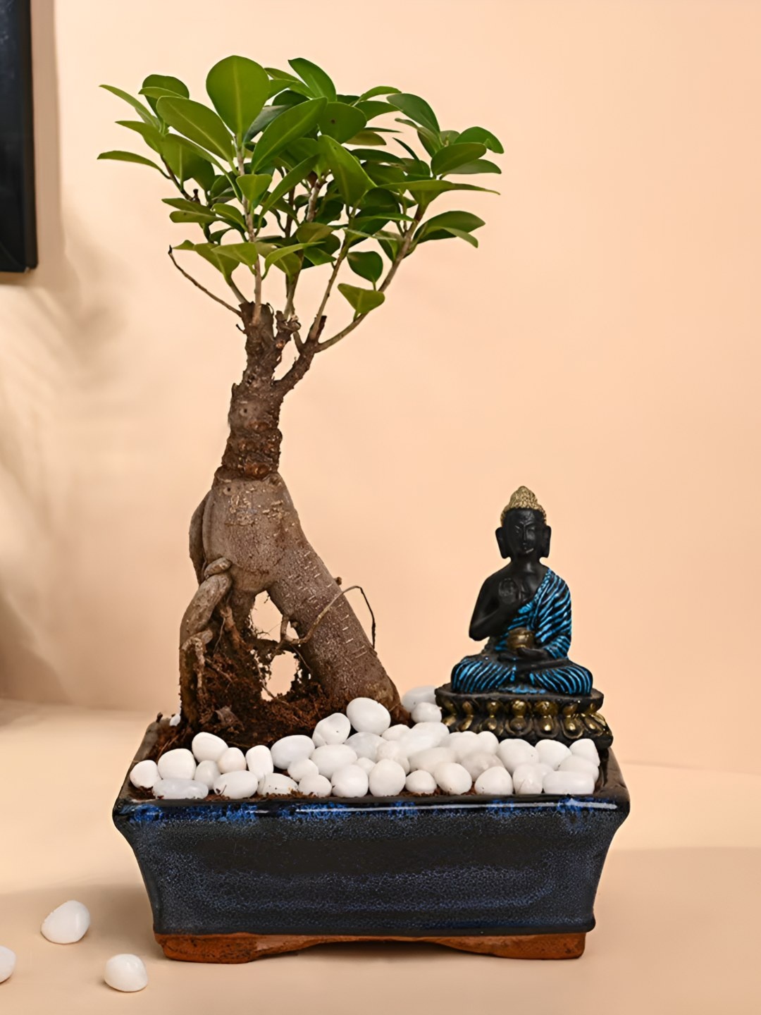 

Floweraura Blue & Green Indoor Vastu Bonsai Live Plant & Ceramic Pot With Lord Buddha Idol