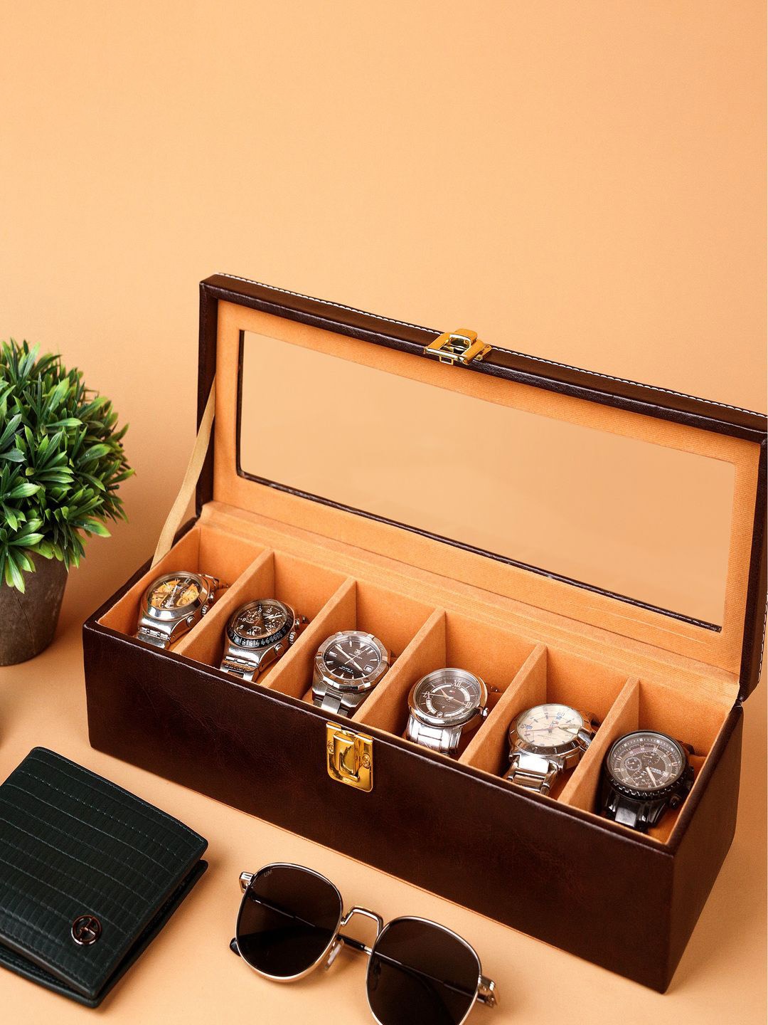 

BIRCH & CO. Brown Luxury Watch Box For 6 Watches Stylish Storage Organizer