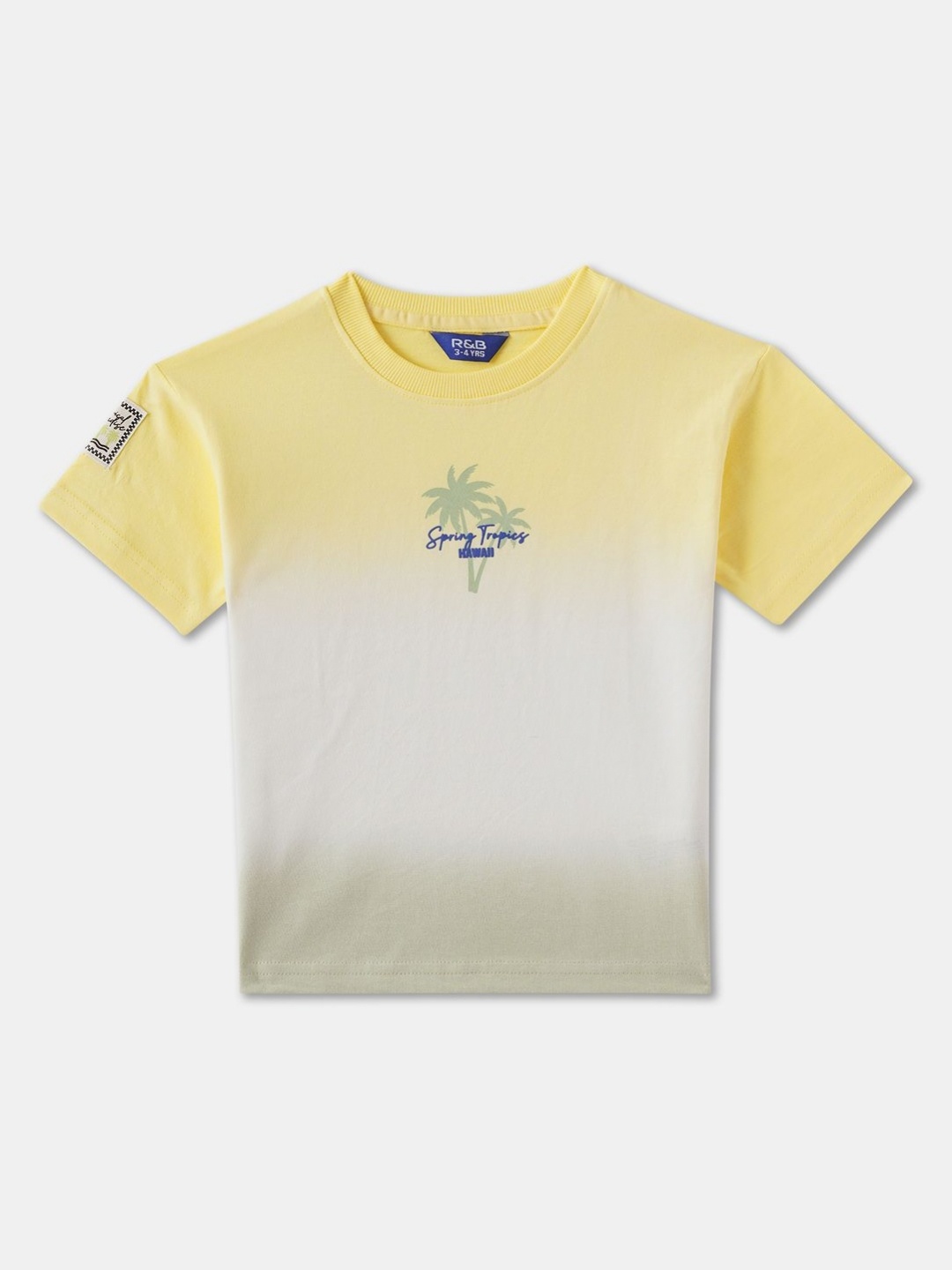 

R&B Boys Colourblocked Round Neck Cotton T-shirt, Multi