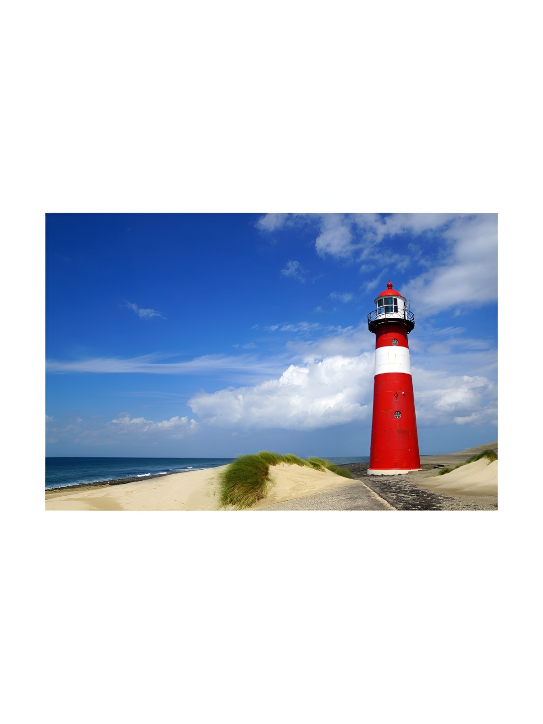 

Inephos Blue & White Printed Wall Art