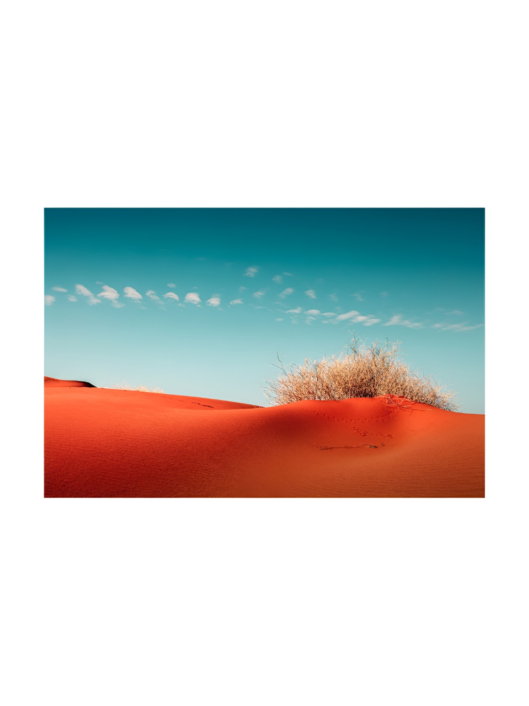 

Inephos Blue & Brown Printed Canvas Wall Art