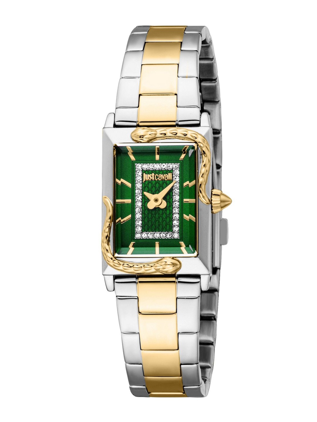 

Just Cavalli Women Printed Dial Analogue Watch JC1L364M0095, Multi