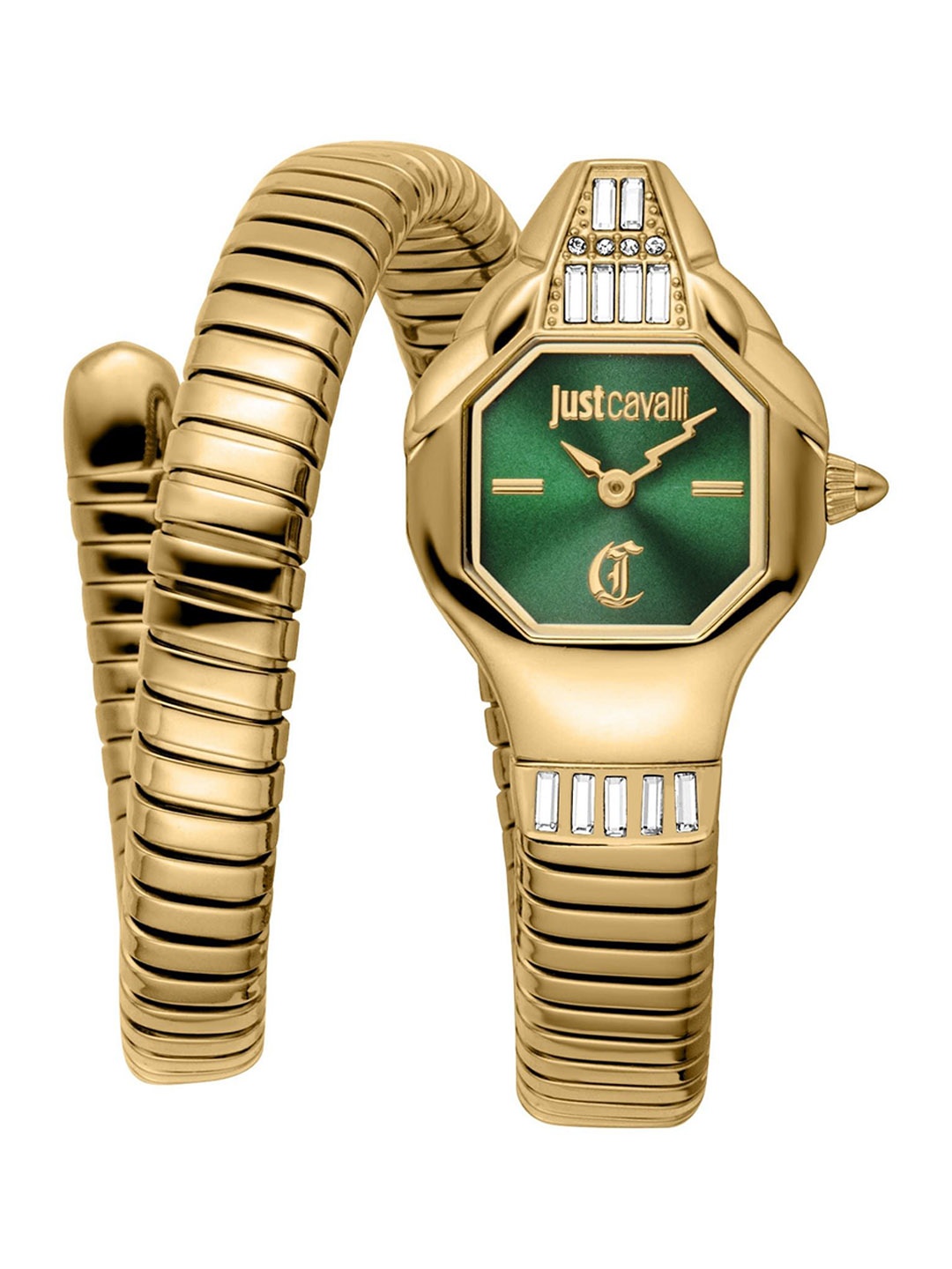 

Just Cavalli Women Dial & Stainless Steel Wrap Around Straps Analogue Watch JC1L326M0035, Green