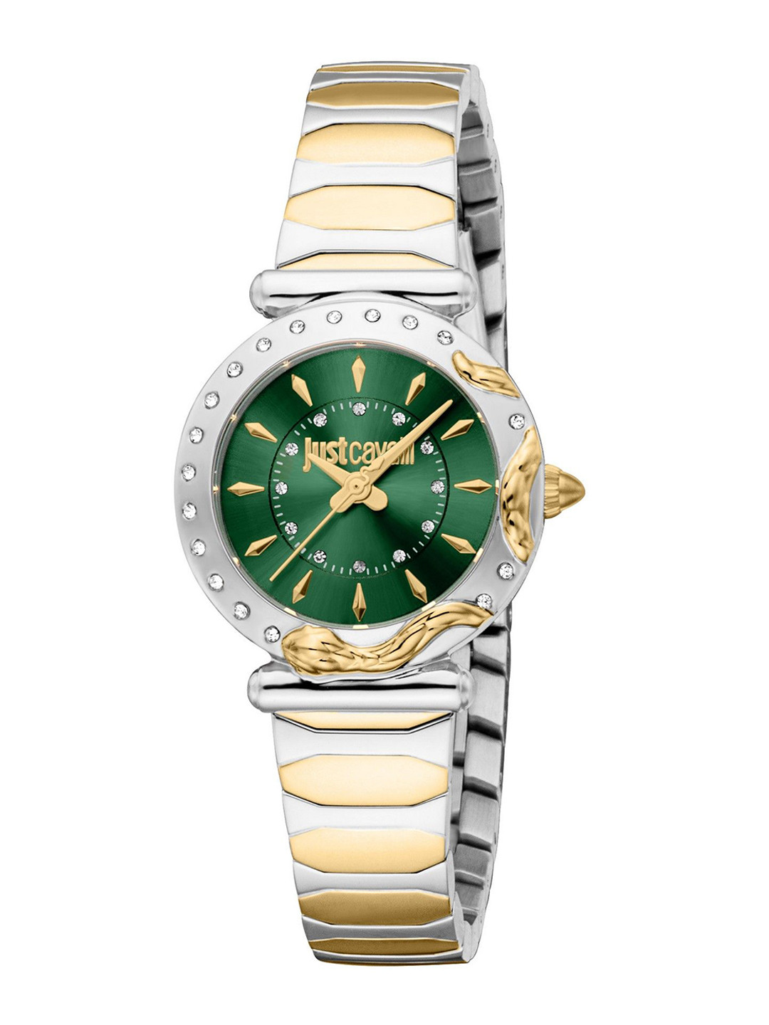 

Just Cavalli Women Dial & Stainless Steel Straps Analogue Watch JC1L363M0075, Green