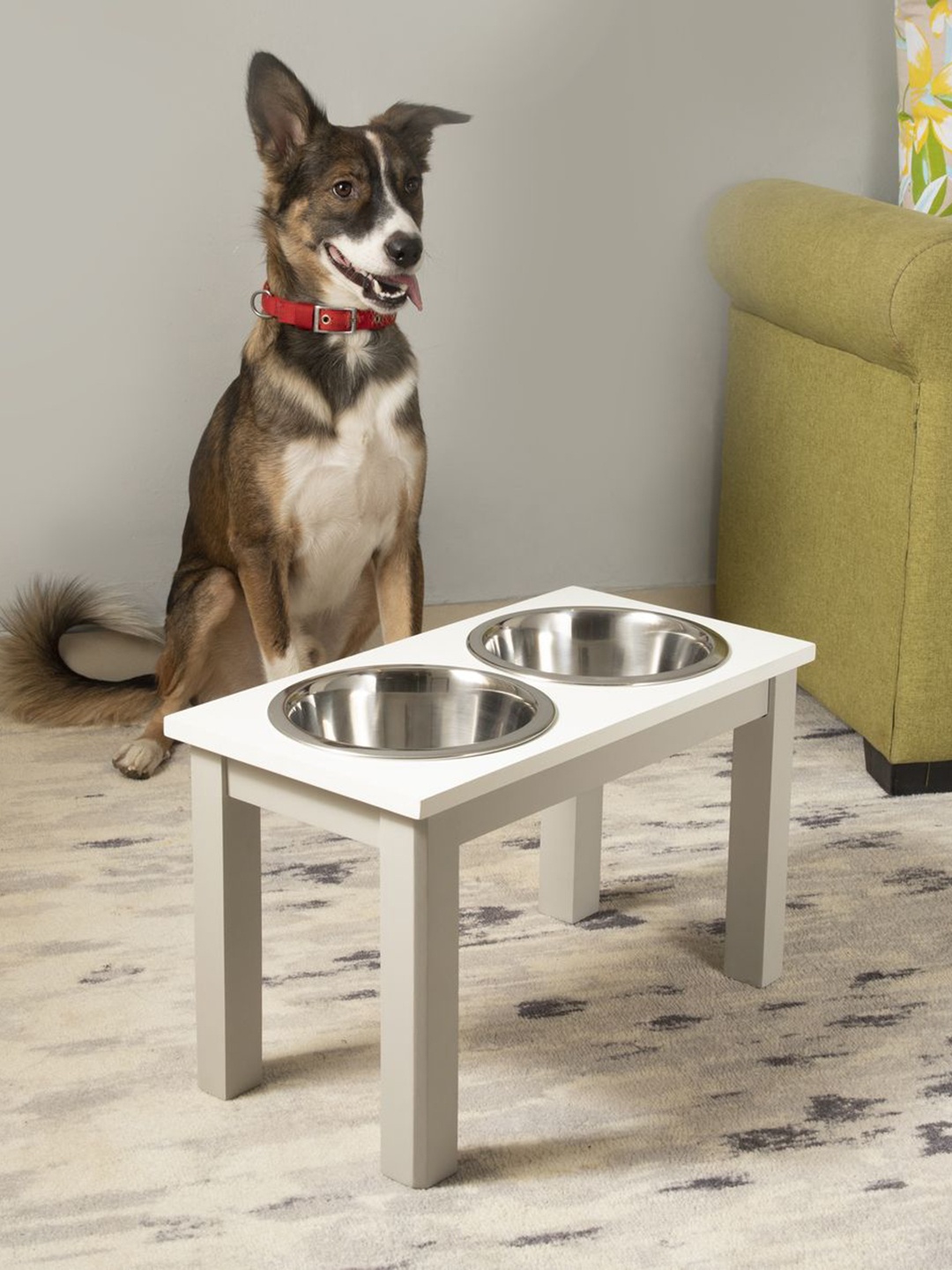 

NILAAY Jeffery Wooden Big Dog Bowl, White