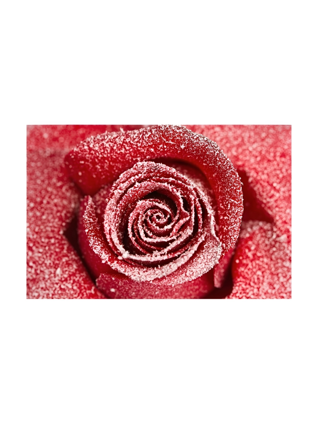 

Inephos Red And White Floral and Botanical Printed Canvas Wall Art
