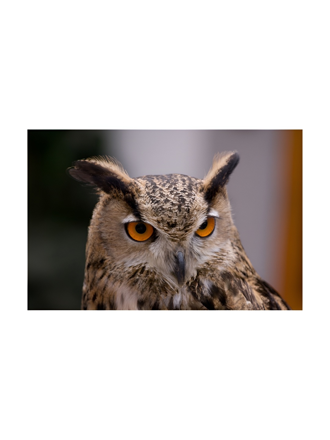 

Inephos Brown And White Birds and Animals Wall Art