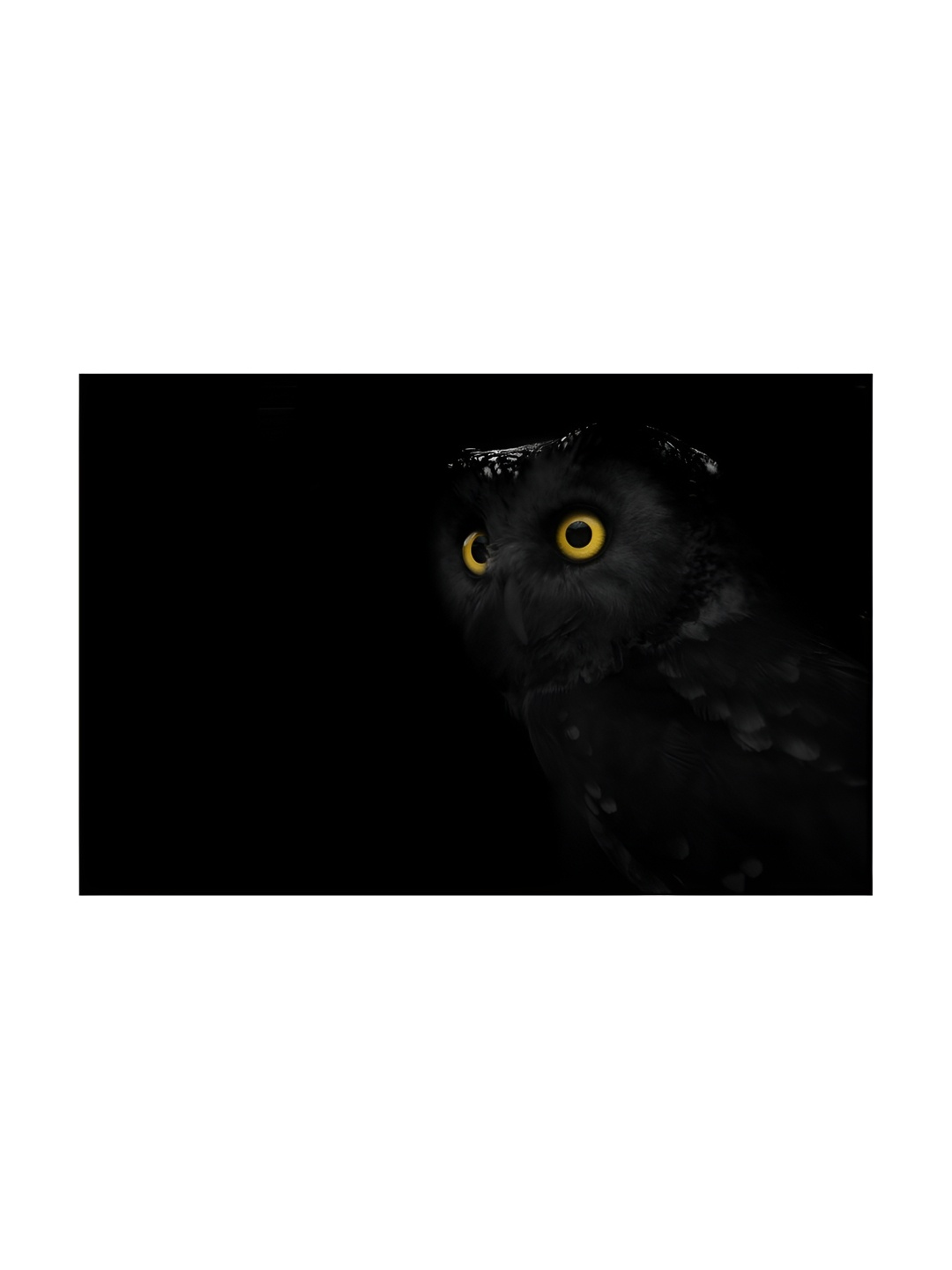 

Inephos Black And Yellow Birds and Animals Printed Canvas Wall Art