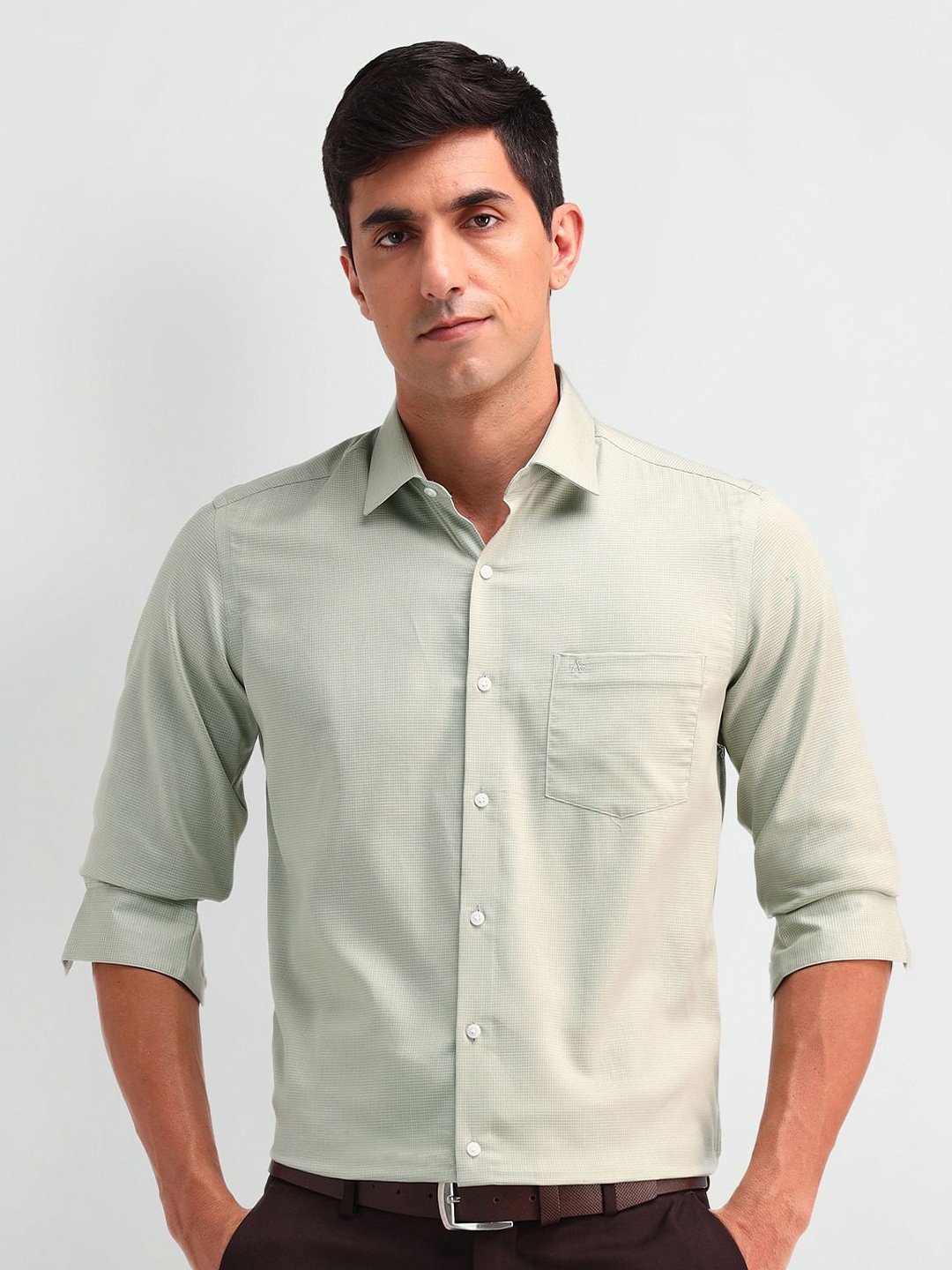 

Arrow Men Slim Fit Spread Collar Textured Cotton Formal Shirt, Green