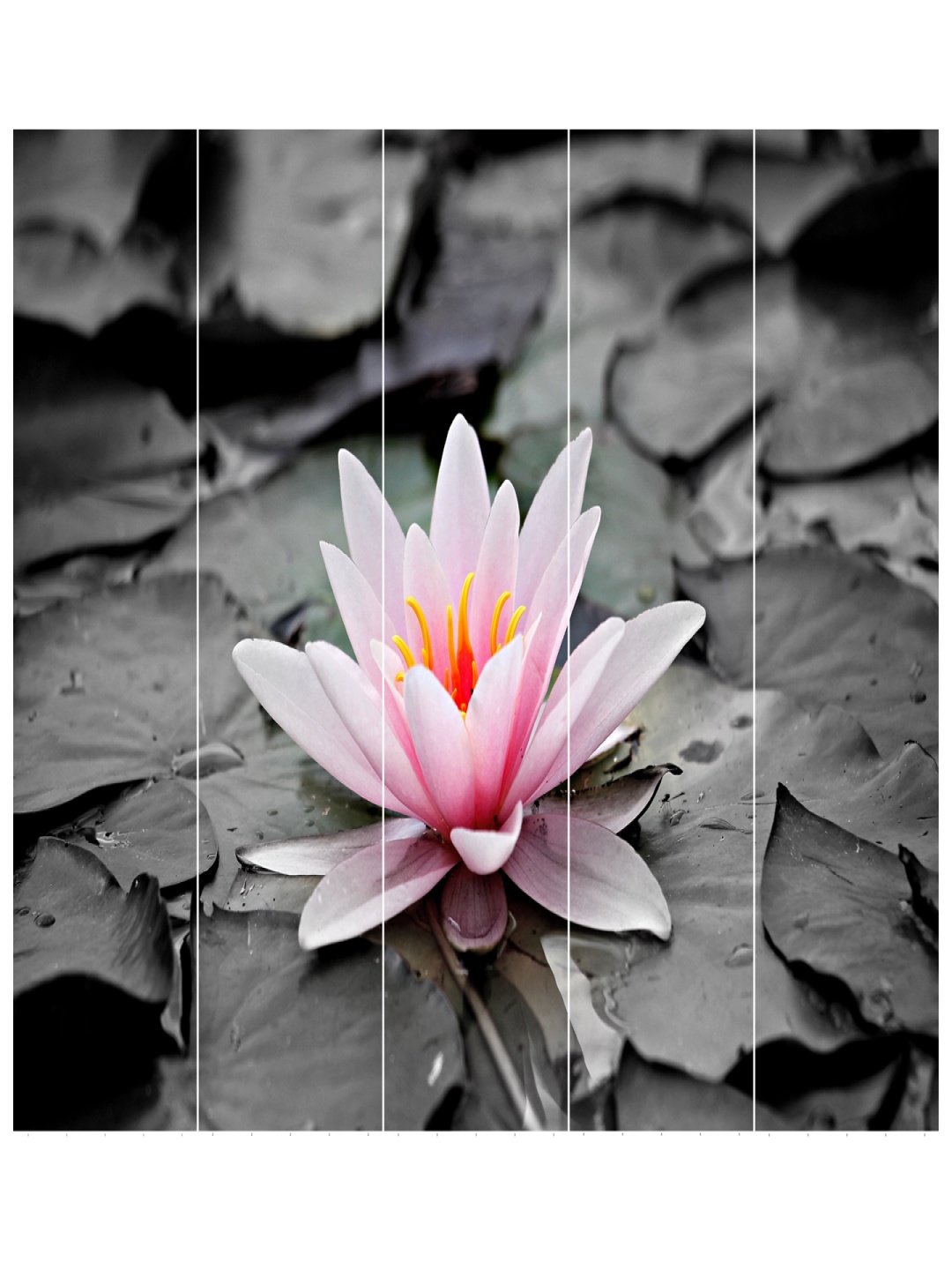

Inephos Pink & Grey 5 Pieces Creative Artwork Floral and Botanical Vinyl Wall Art