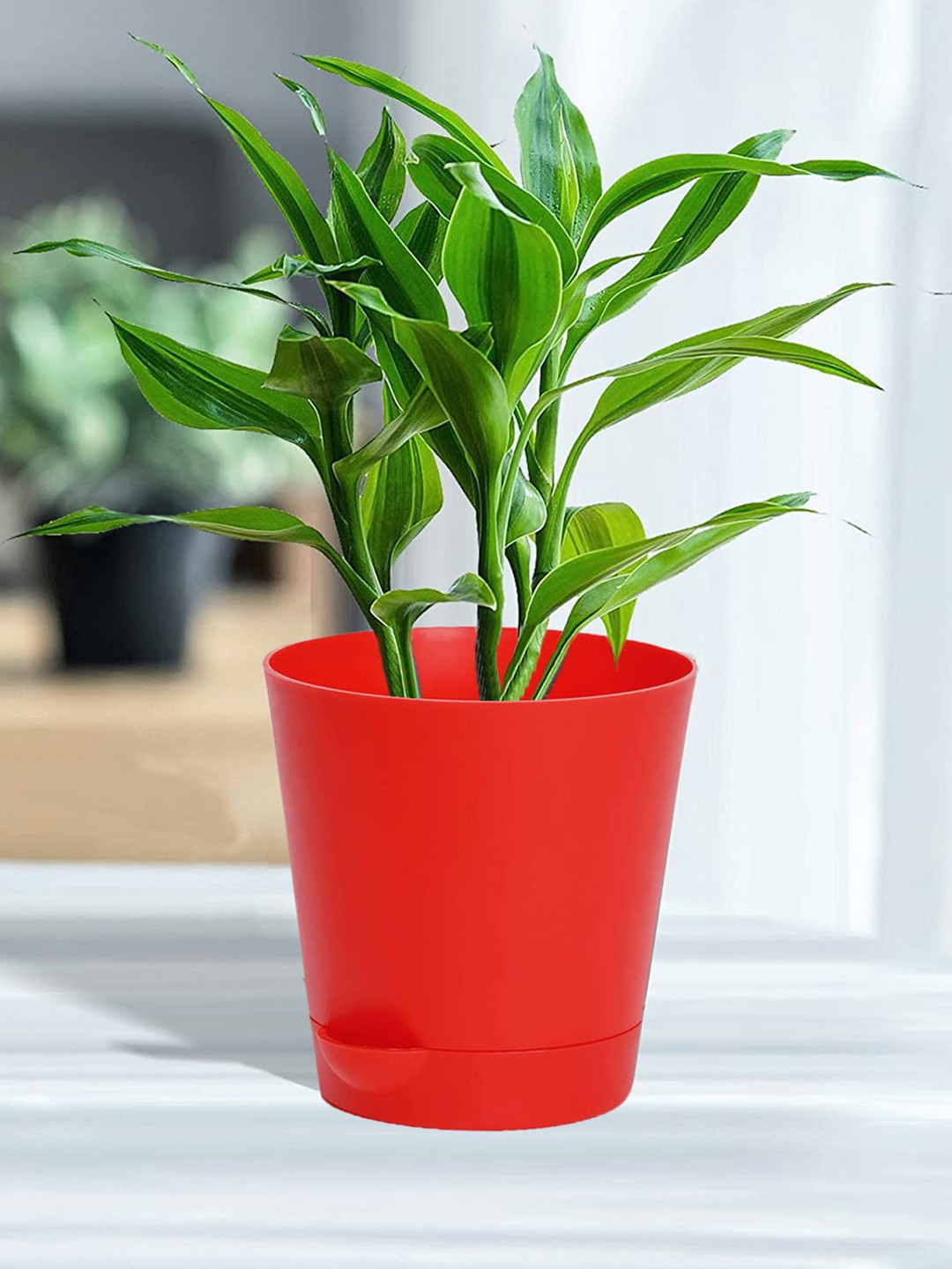 Kuber Industries Red 1 Pieces Artificial Plant With Pot