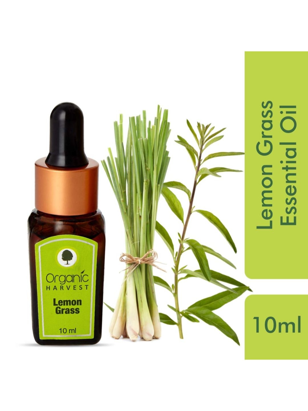 

Organic Harvest Lemon Grass Essential Oil, Green