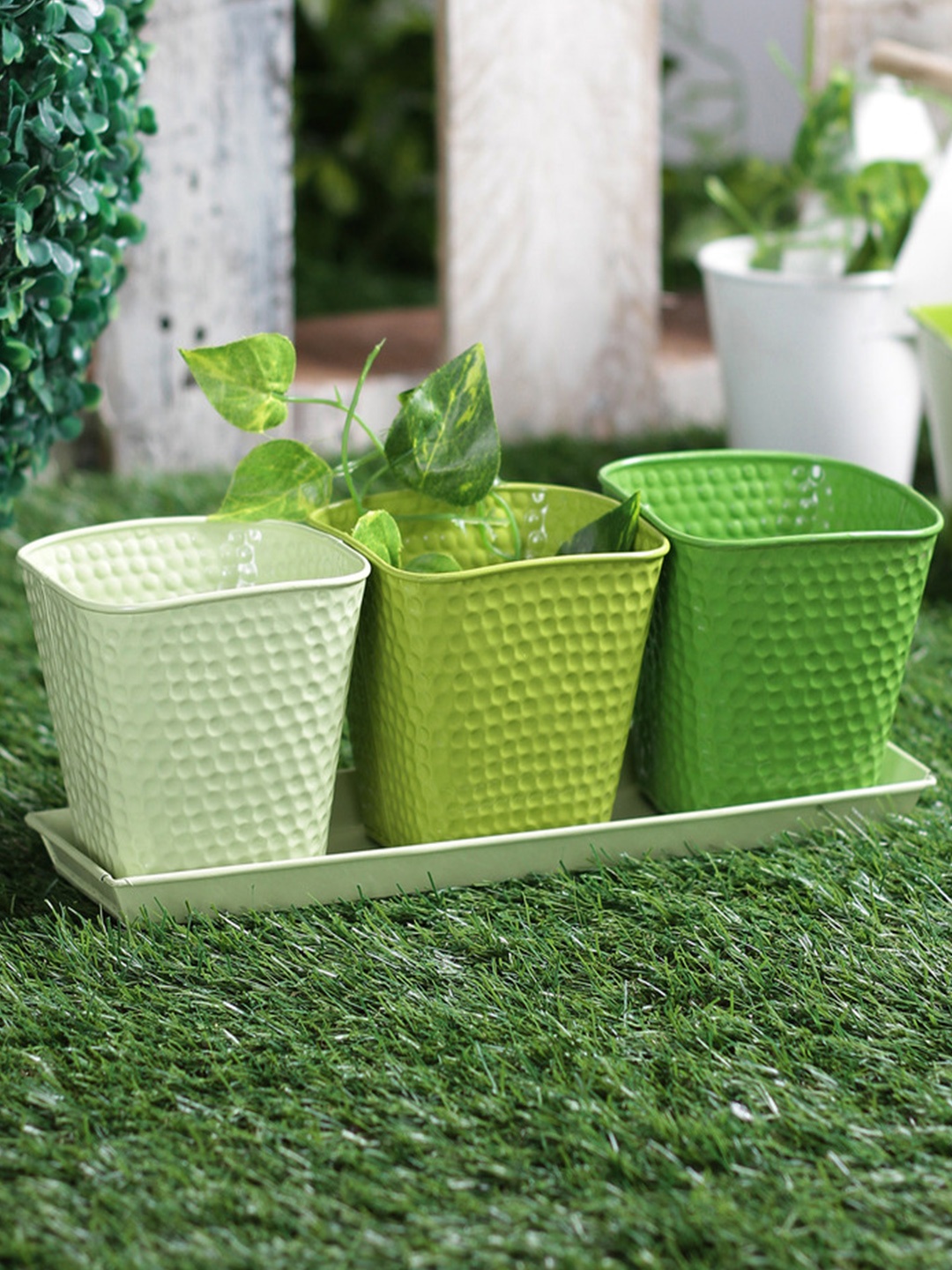 

green girgit Set of 3 Metal Green Herb Planter