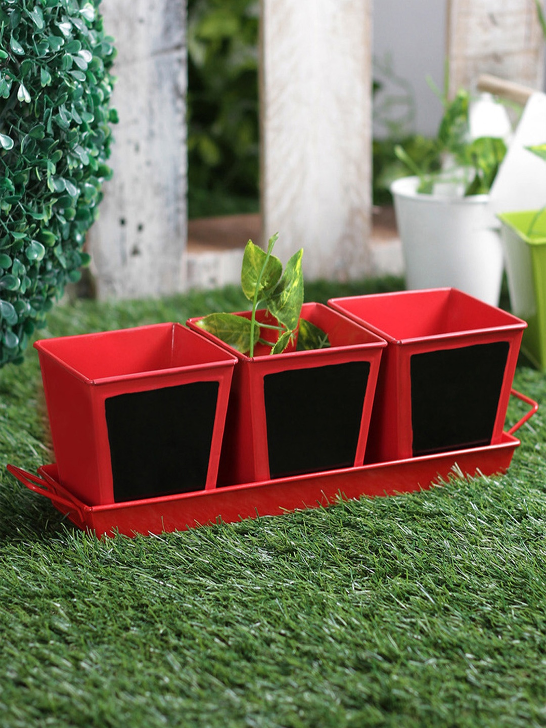

green girgit Set of 3 Metal Red Chalk Board Painted Herb Planter