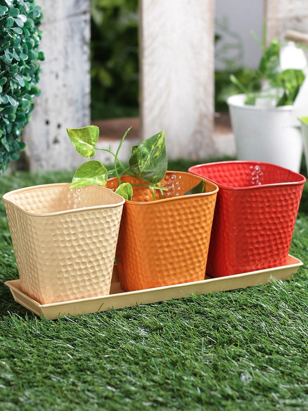 

green girgit Set of 3 Metal Herb Planter, Red