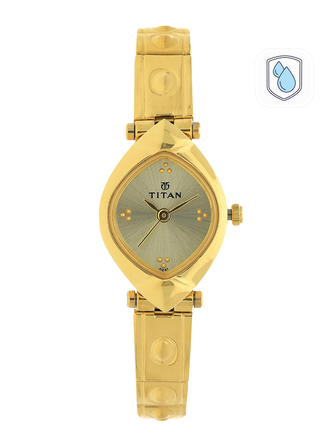 

Titan Women Gold-Toned & Grey Analogue Watch NK2417YM02