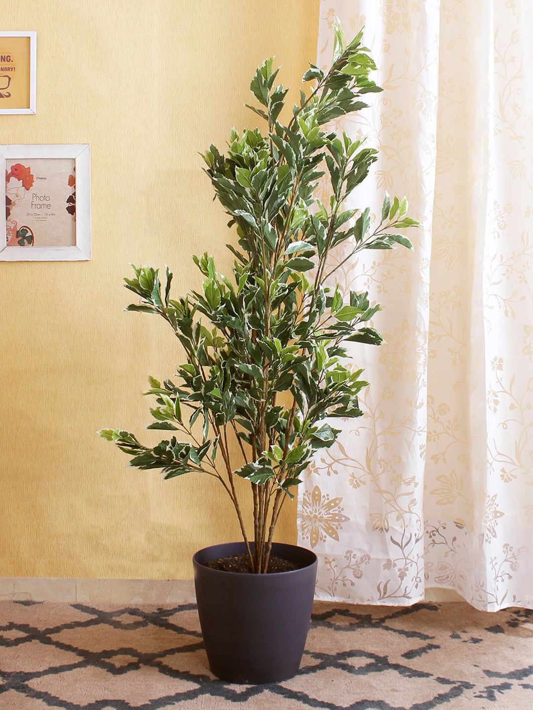 

Fourwalls Green & White Artificial HideFloor Plant Without Pot