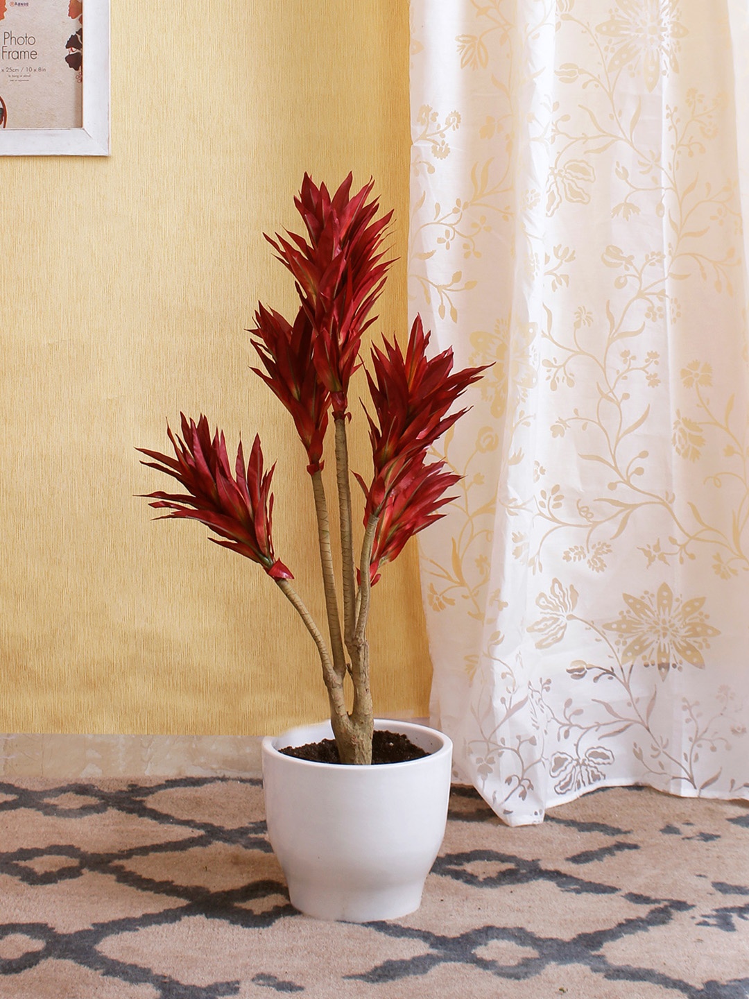 

Fourwalls Red Artificial Dracaena Floor Plant Without Pot