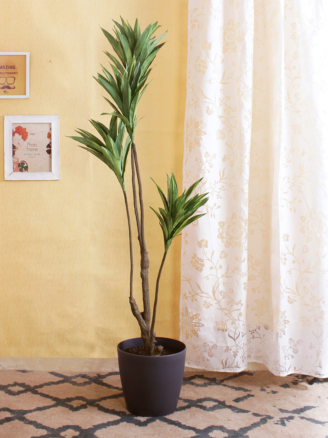 

Fourwalls Green Artificial Cordyline Floor Plant Without Pot