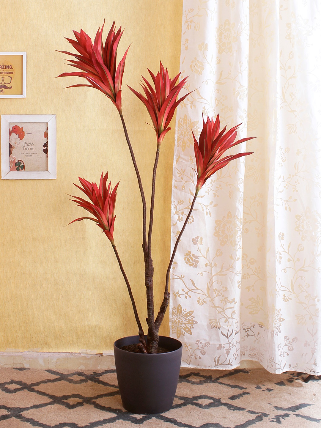 

Fourwalls Red Artificial Cordyline Floor Plant Without Pot