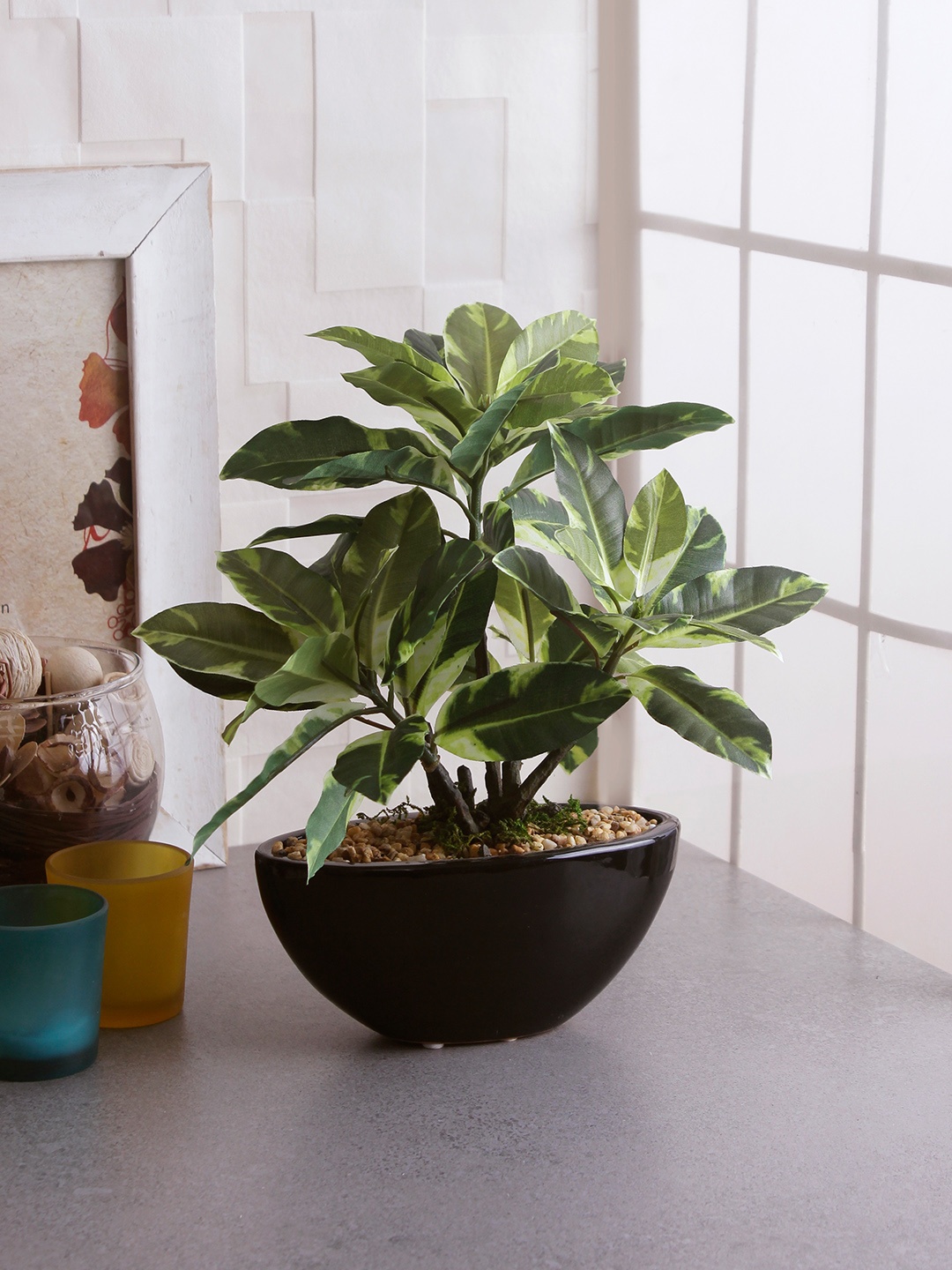

Fourwalls Green & Off-White Artificial Quercus Plant With Ceramic Pot