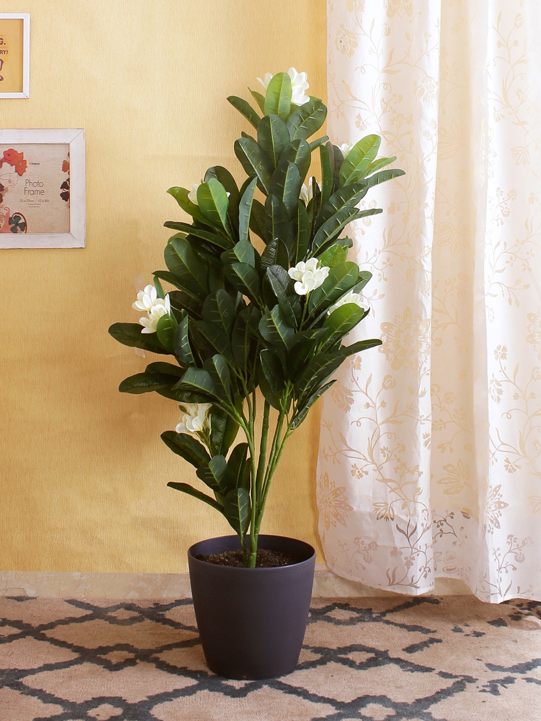 

Fourwalls Green & White Artificial Frangipani Plant Floor Plant Without Pot