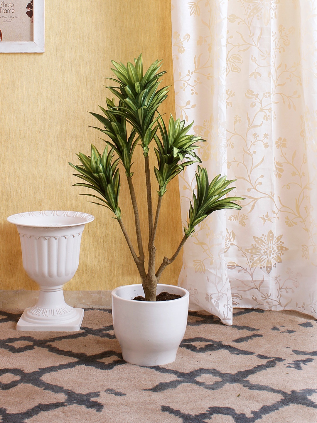 

Fourwalls Green & White Artificial Dracaena Floor Plant Without Pot, Multi