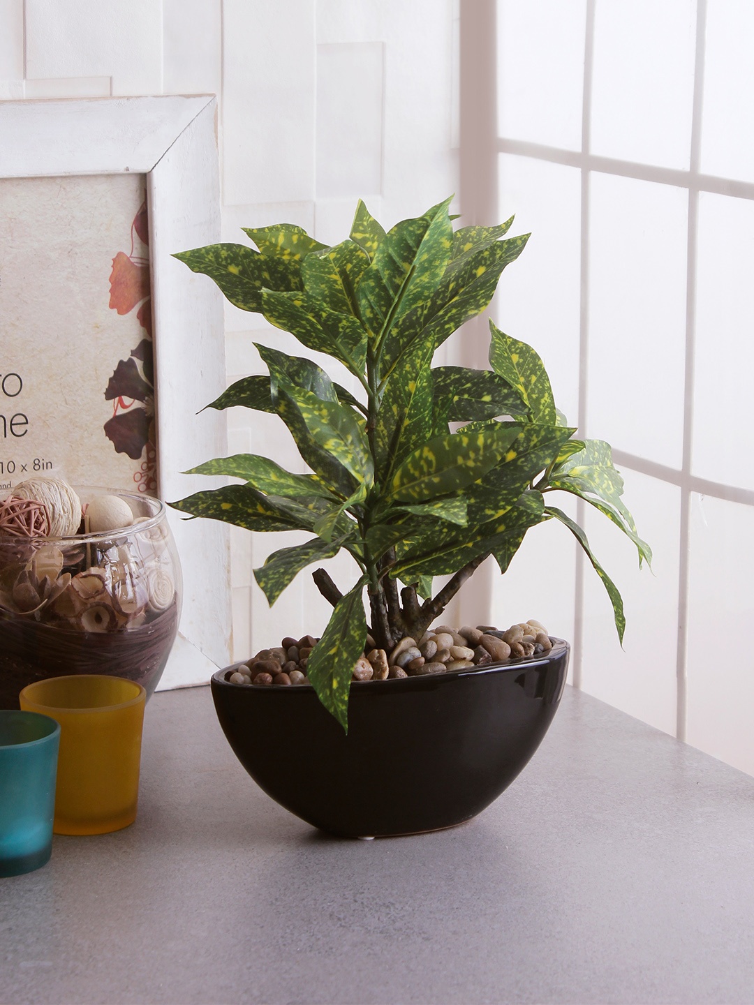 

Fourwalls Green & Yellow Artificial Croton Plant