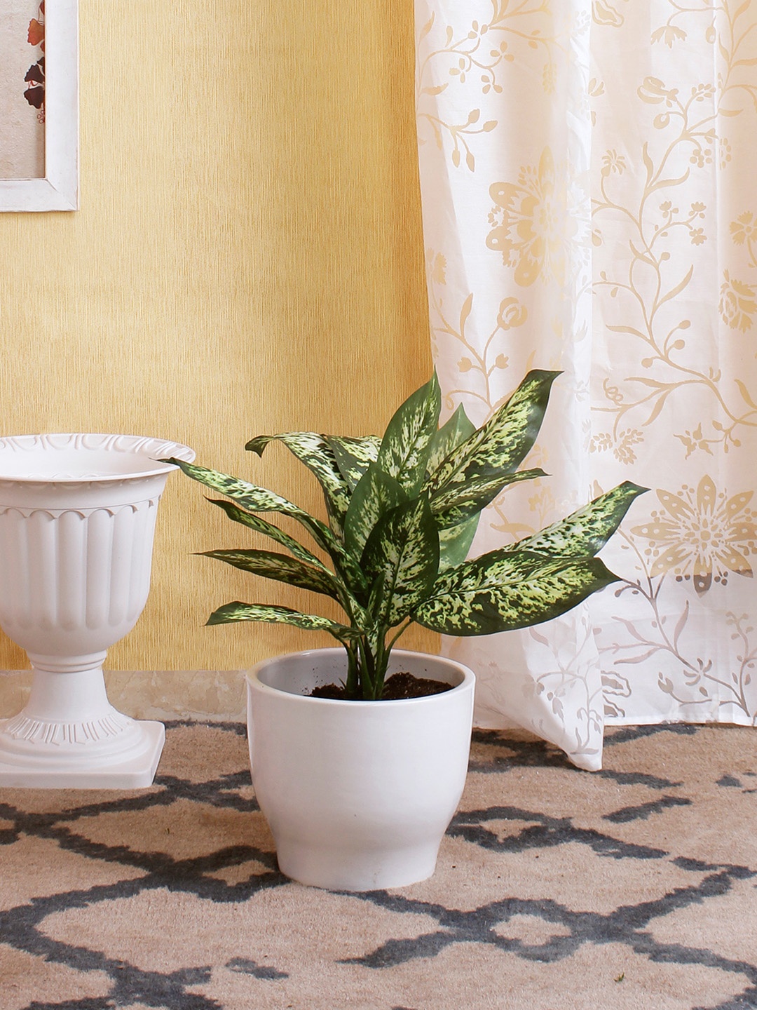 

Fourwalls Green & Off-White Artificial Dieffenbachia Plant Without Pot