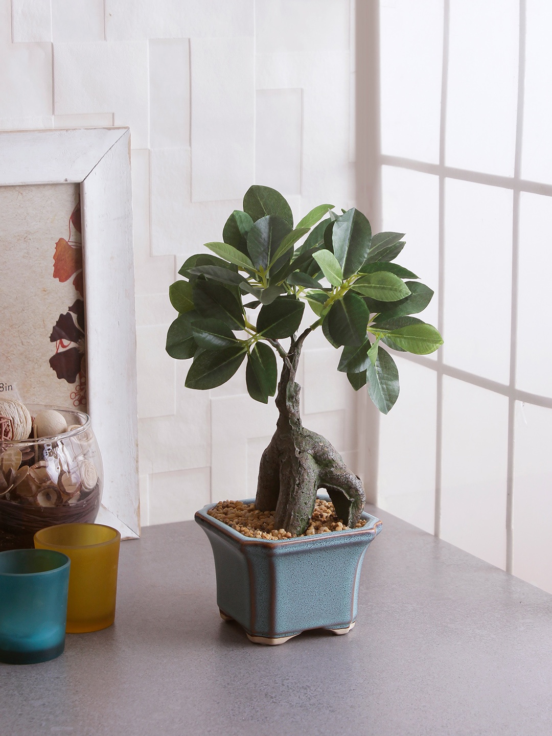 

Fourwalls Green Artificial Ficus Plant With Ceramic Pot