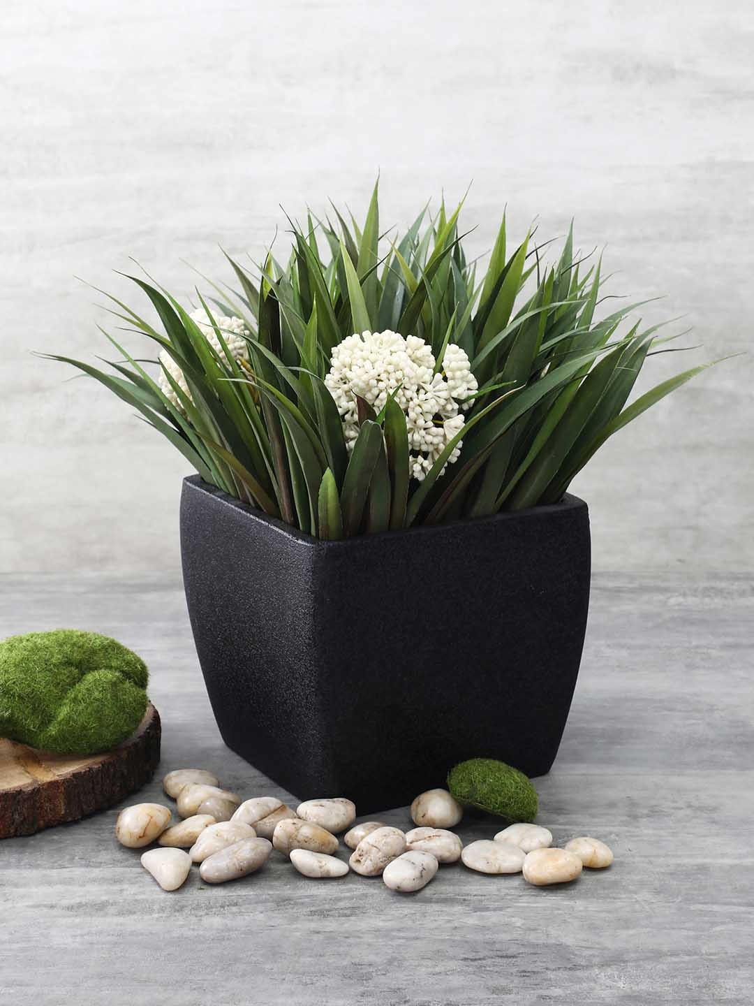 

Pure Home and Living Black Solid Square Planter