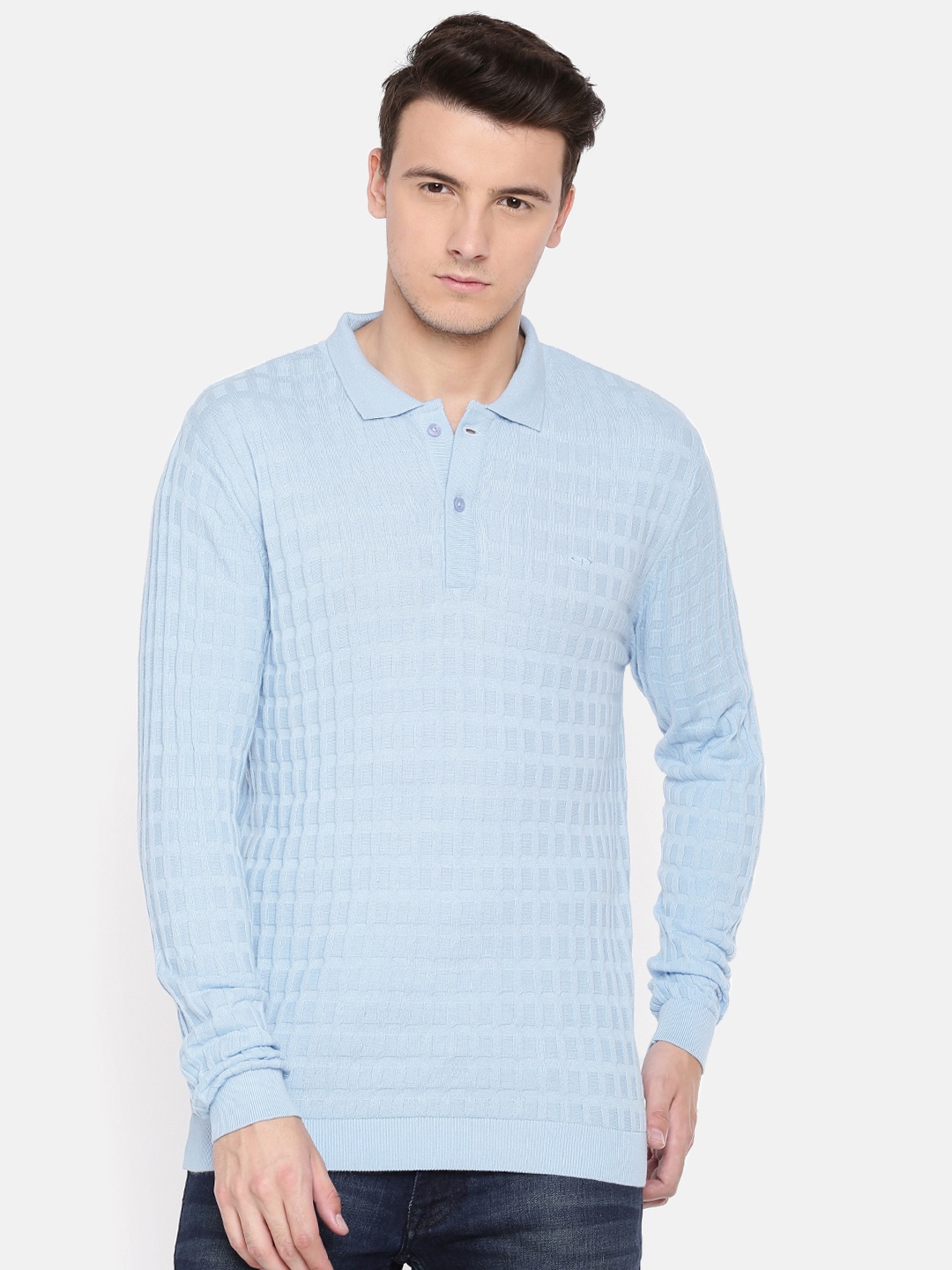 

ColorPlus Men Blue Self Design Pullover