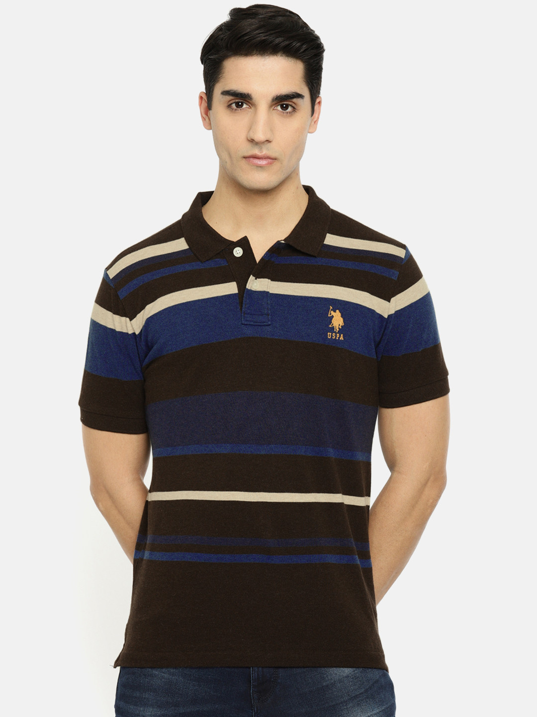 

U.S. Polo Assn. Men Brown & Blue Striped Polo Collar T-shirt