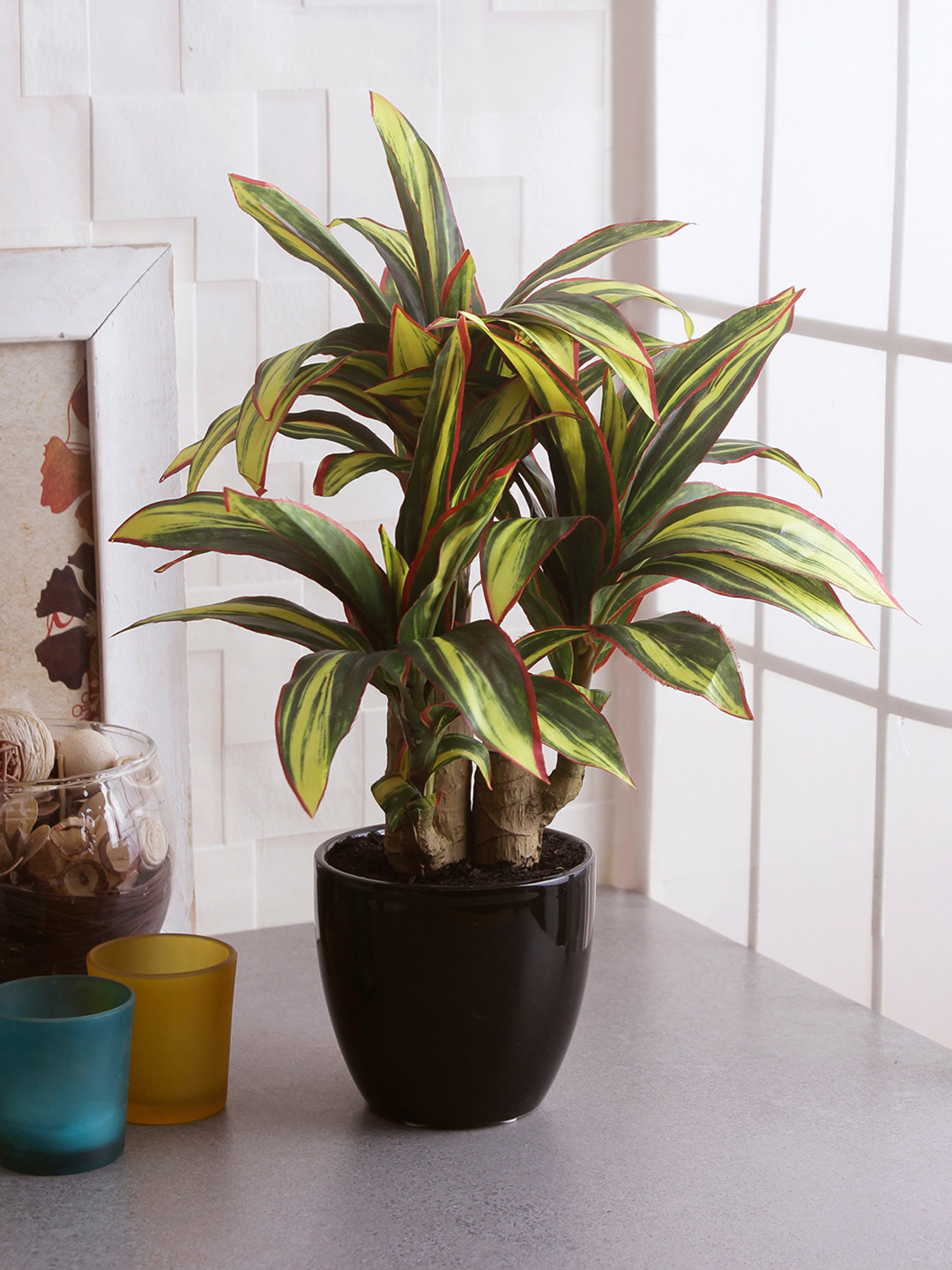 

Fourwalls Artificial Green & Yellow Calathea Bonsai Plant