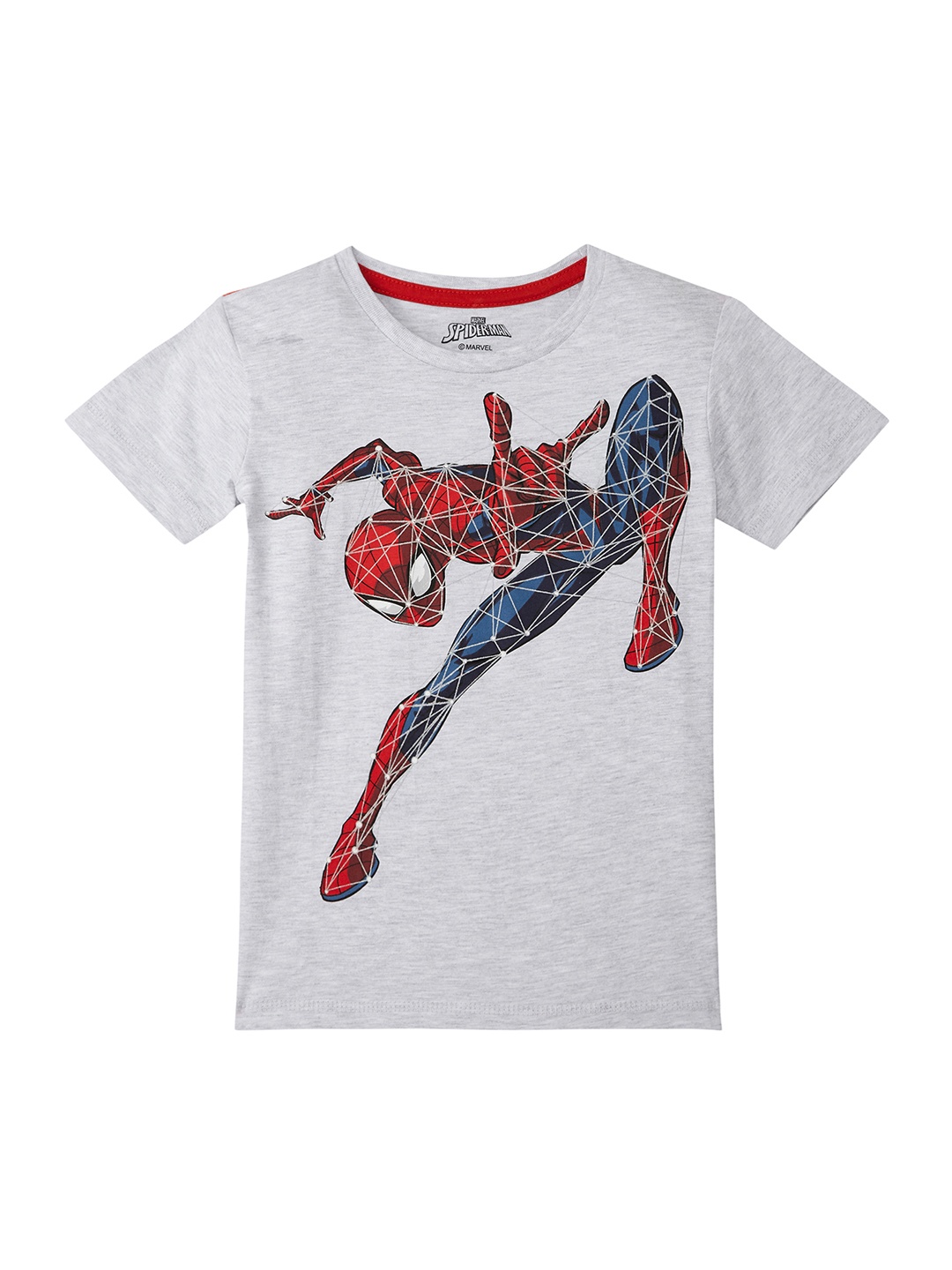 

SPIDERMAN, Grey