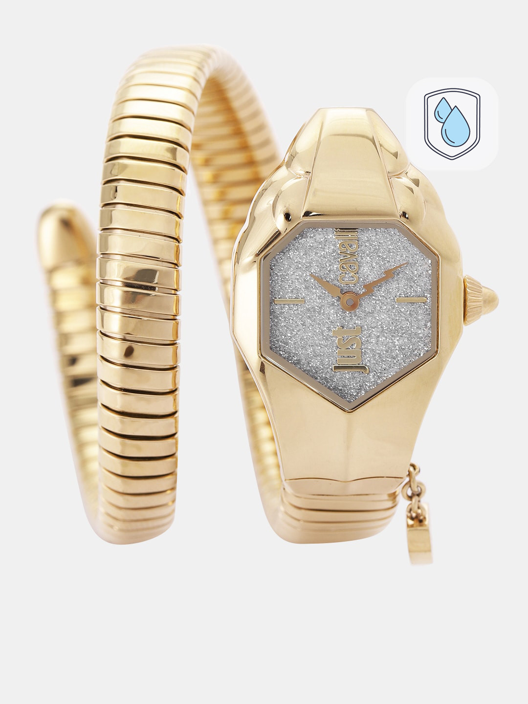 

Just Cavalli Women Silver-Toned Analogue Watch JC1L001M0135