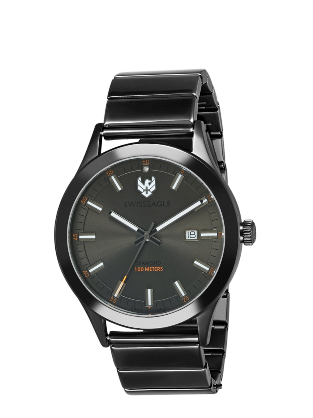 

Swiss Eagle Men Black Analogue Watch