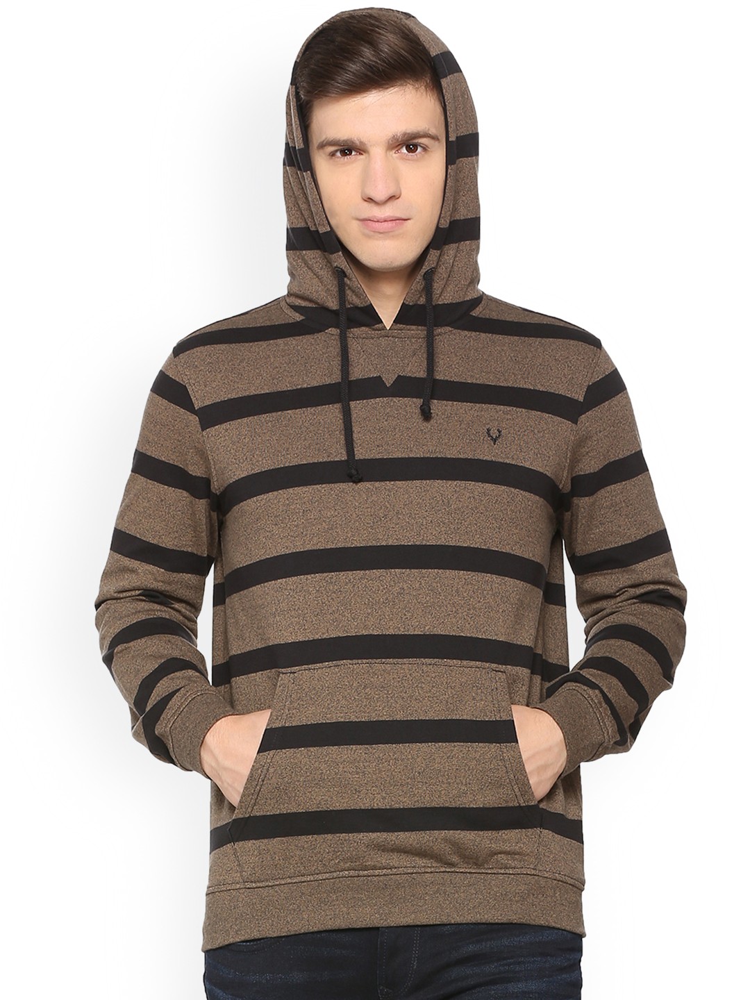 

Allen Solly Men Brown Striped Hooded Sweatshirt