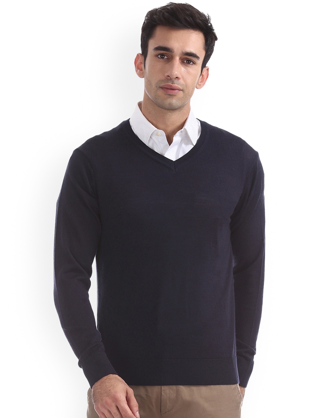 

Arrow Men Blue Solid Pullover