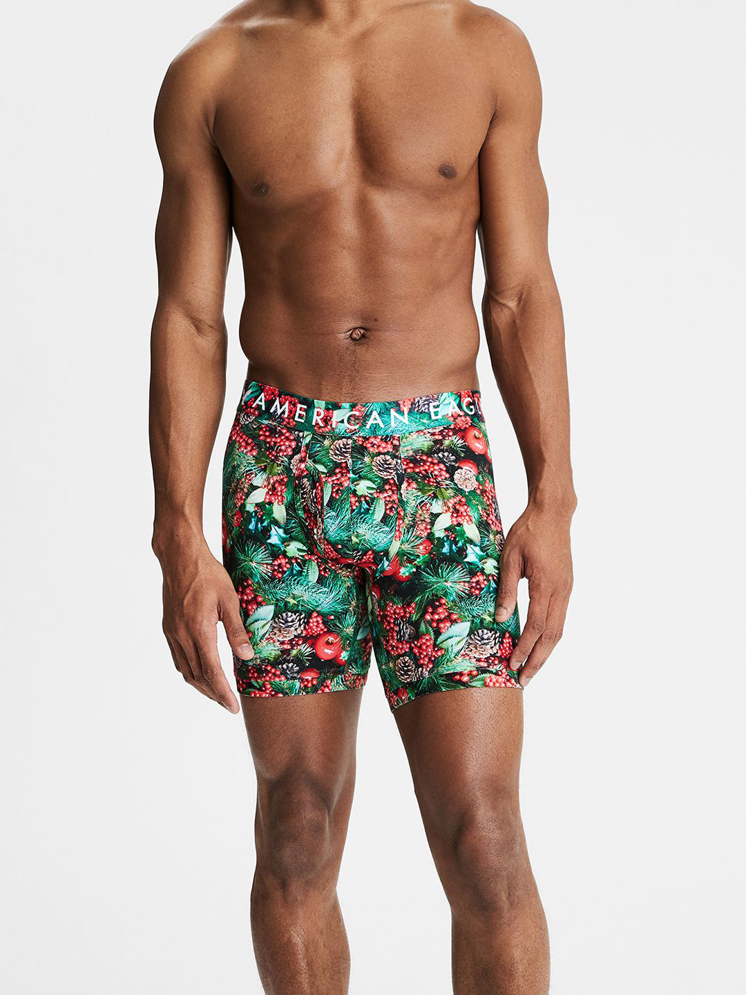 

AMERICAN EAGLE OUTFITTERS Men Multicoloured Trunks 7318-300, Multi