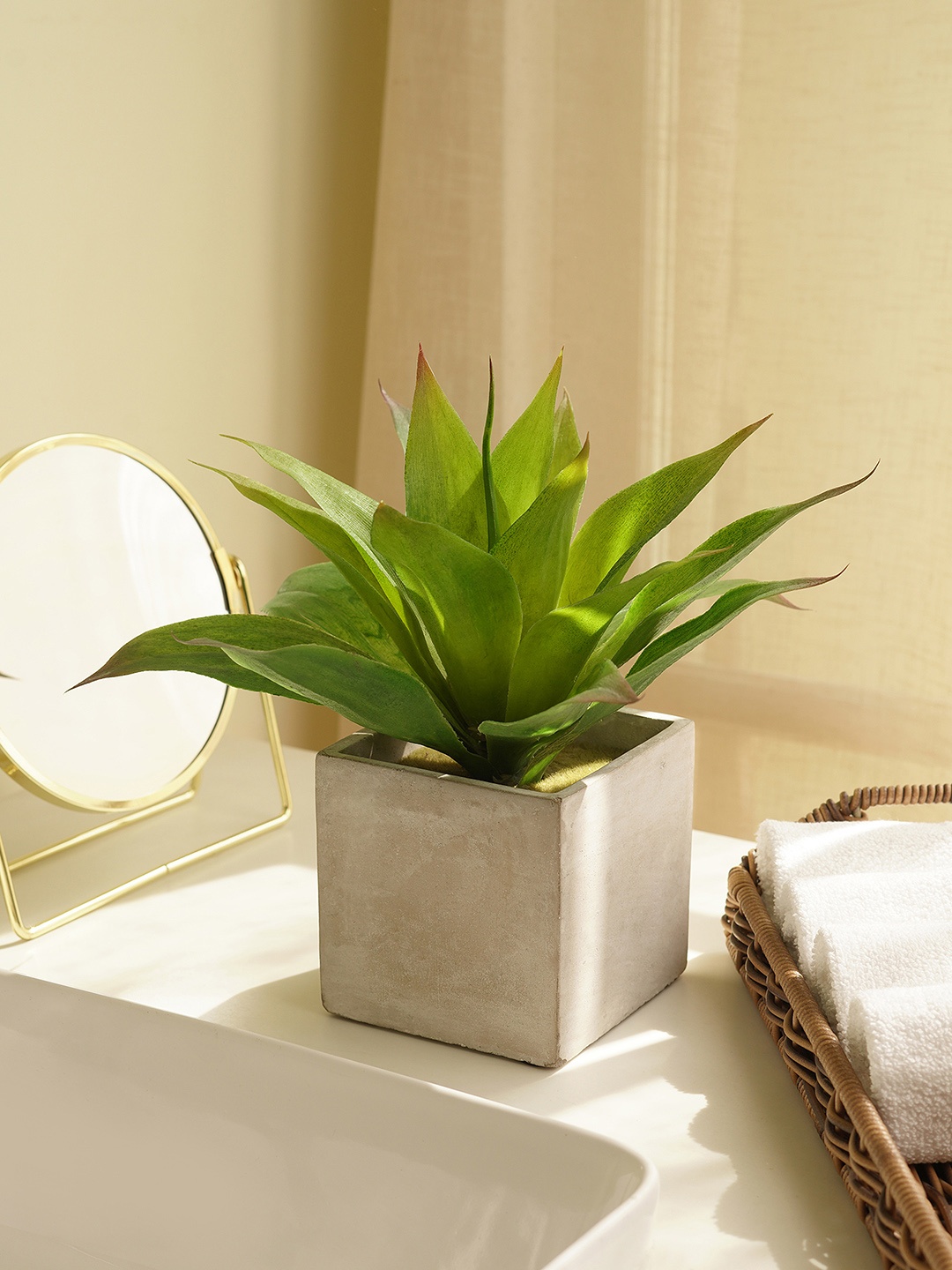 

Pure Home and Living Green & Grey Aloe Vera Plant