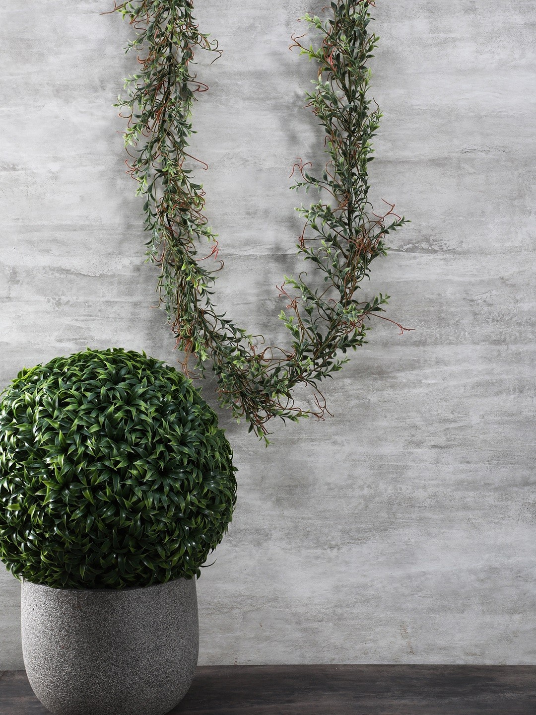 

Pure Home and Living Green & Red Hanging Leafy Plant