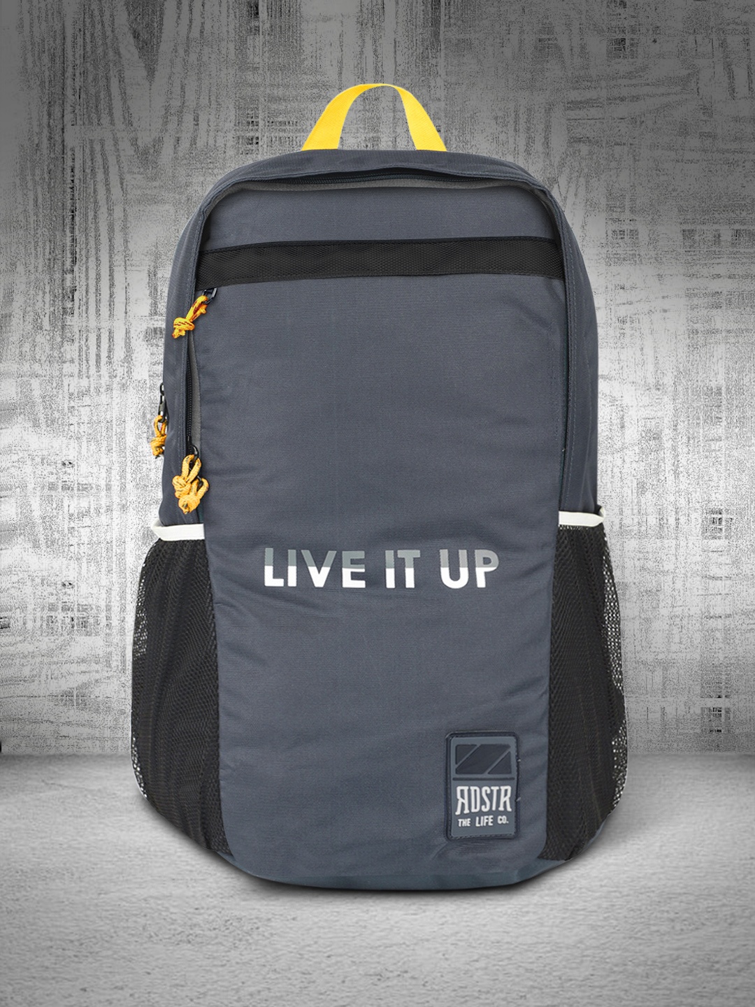 

Roadster Unisex Grey Typography Backpack