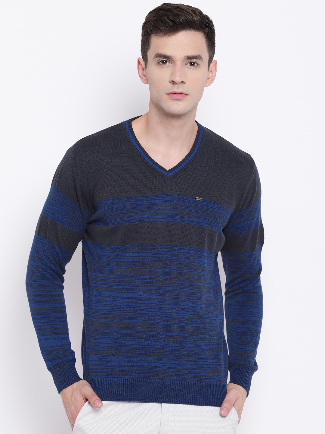 

Blackberrys Men Navy Blue Striped Sweater