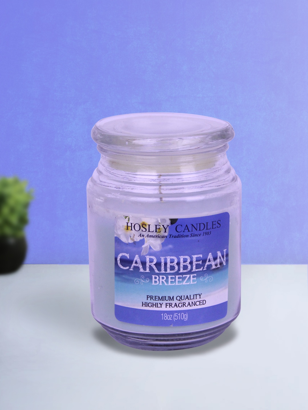 

HOSLEY Blue Caribbean Breeze Scented Wax Jar Candle