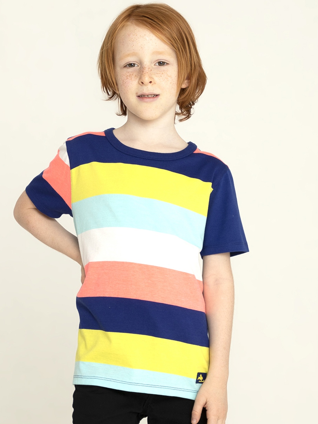 

Cherry Crumble Boys Multicolor Color Block Stripy T-shirt, Multi