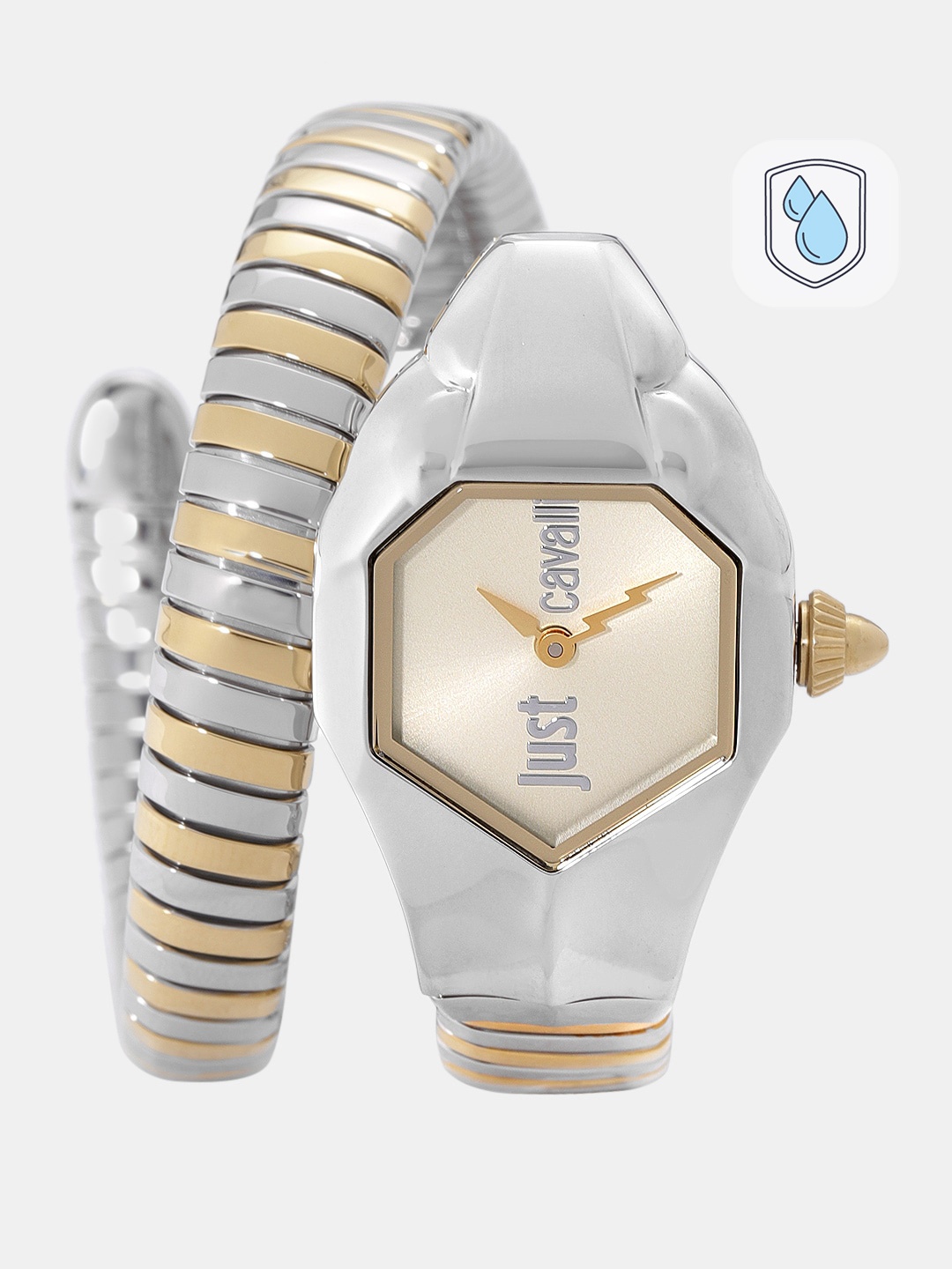 

Just Cavalli Women Gold-Toned Analogue Watch JC1L001M0035